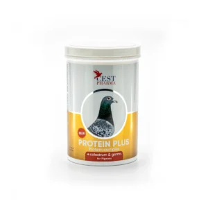 PROTEIN PLUS