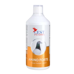 AMINO FORTE 1000ML