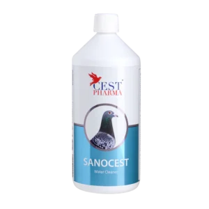 SANOCEST 1000ml