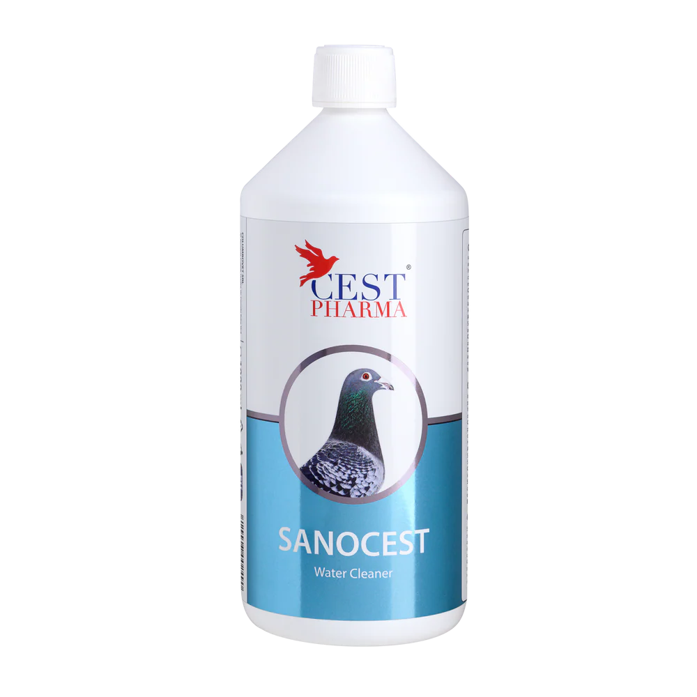 SANOCEST 1000ml