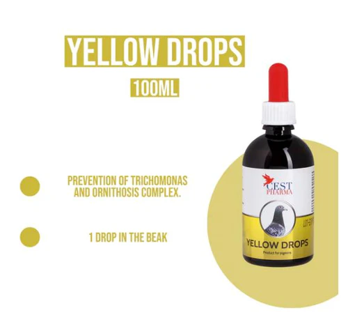 YELLOW DROPS - Imagen 2