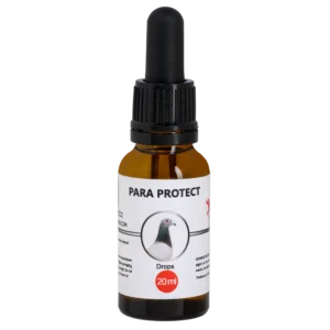 PARA PROTECT