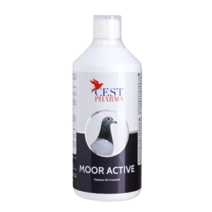MOOR ACTIVE 1000ML