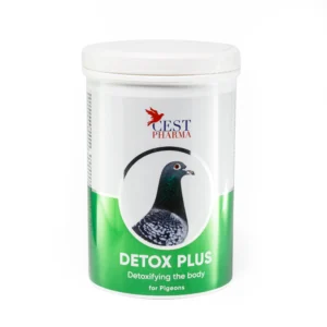 DETOX PLUS 600G