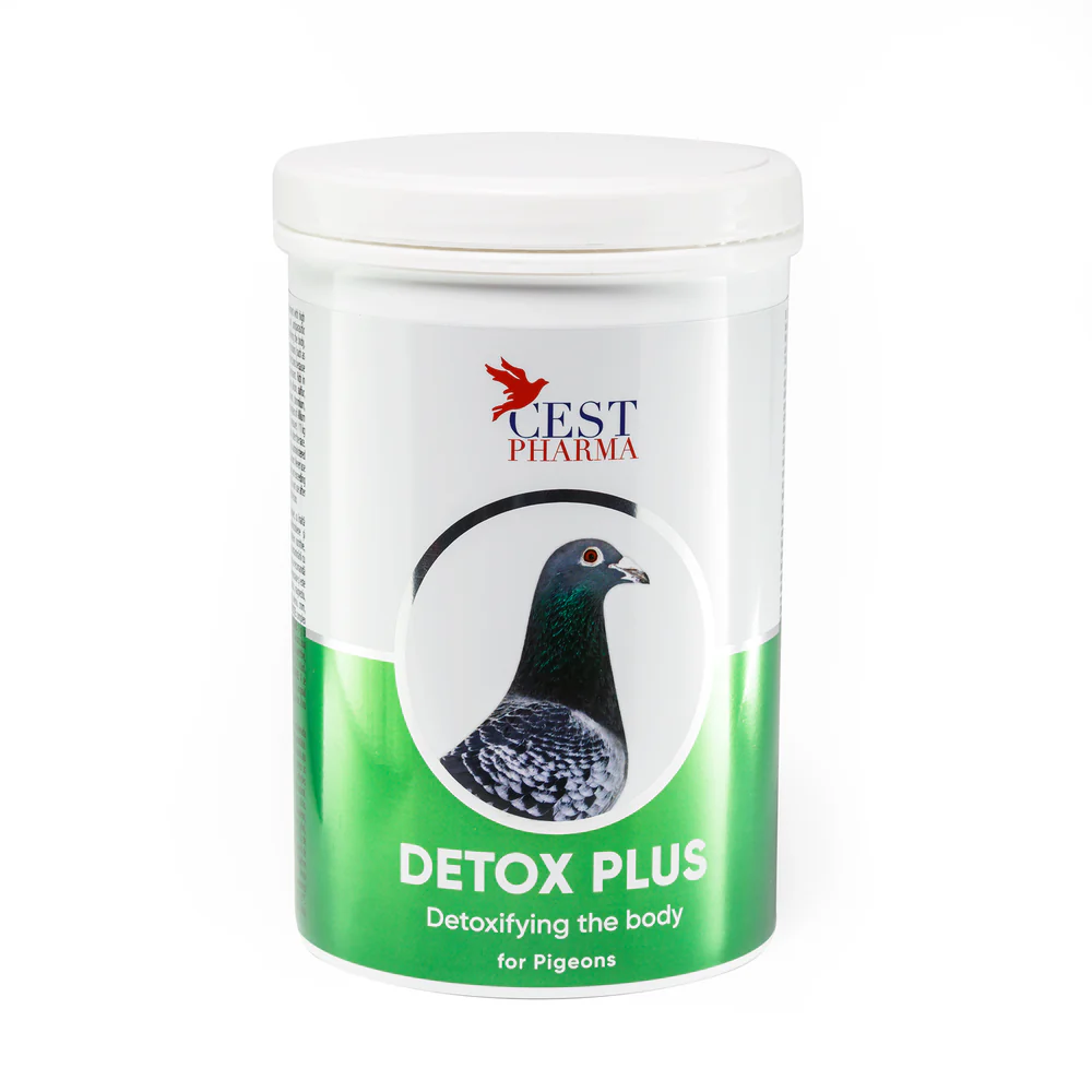 DETOX PLUS 600G