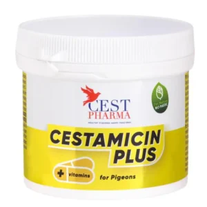 CESTAMICIN PLUS
