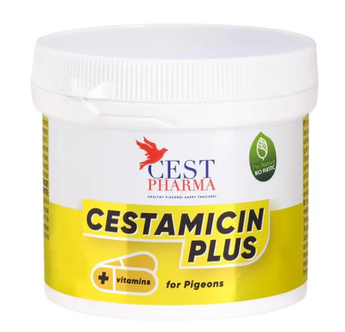 CESTAMICIN PLUS