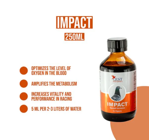 IMPACT - Imagen 2