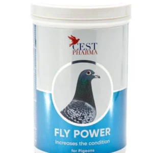 FLY POWER