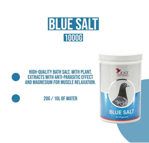 BLUE SALT - Imagen 2