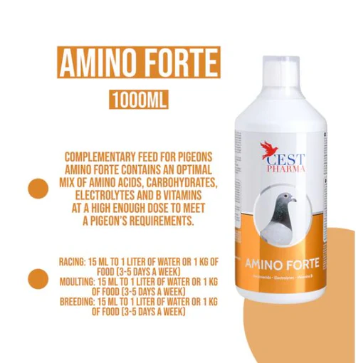 AMINO FORTE 1000ML - Imagen 2
