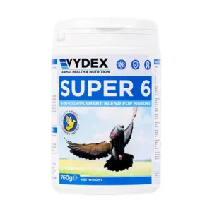 SUPER 6