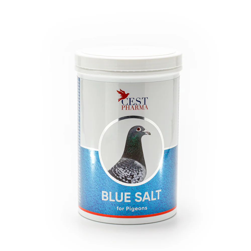 BLUE SALT