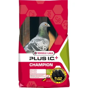 PLUS IC+ CHAMPION BLACK LABEL