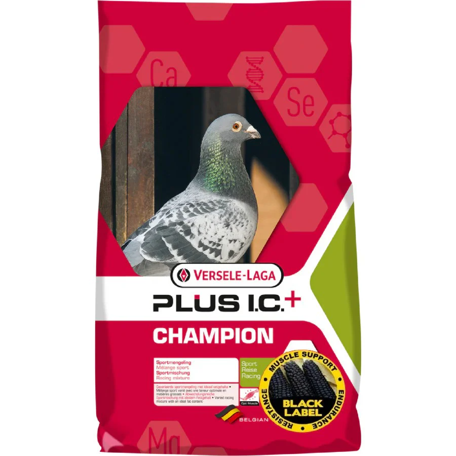 PLUS IC+ CHAMPION BLACK LABEL
