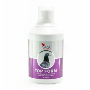 TOP FORM