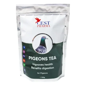 PIGEONS TEA