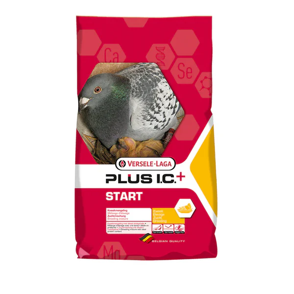 PLUS IC+ START
