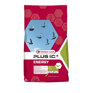 PLUS IC+ ENERGY